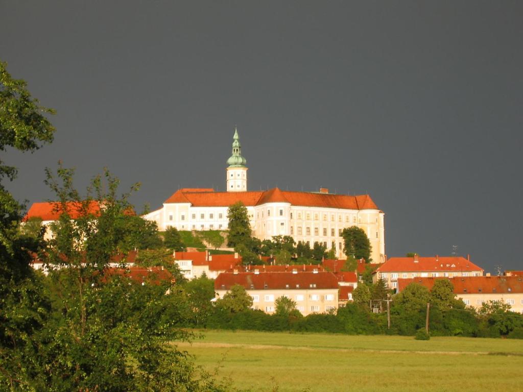 Апартаменты Ubytovani U Jerabku - Parkovani Zdarma Микулов Номер фото